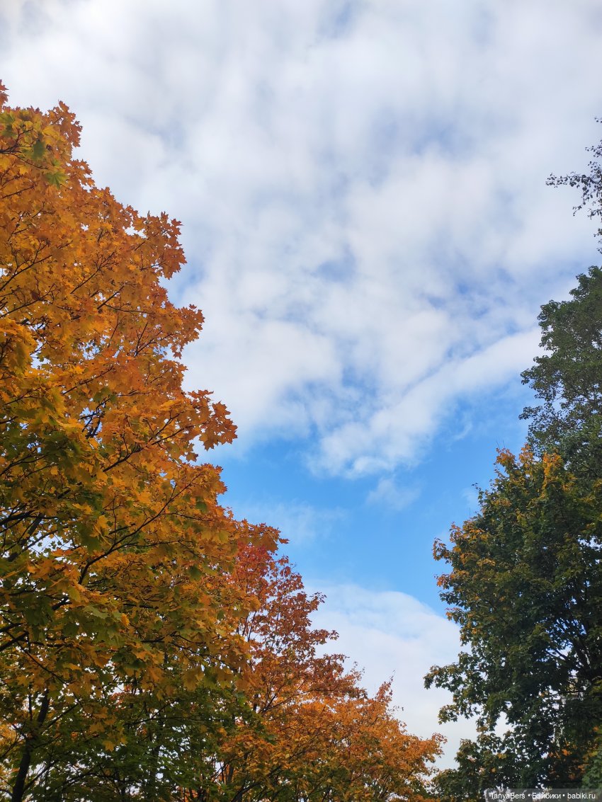 В поисках сказки | Бэйбики В поисках сказки — Домашние фото авторских игрушек: Тедди (фото 8)