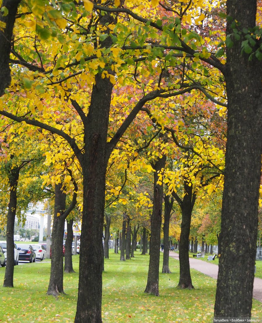 В поисках сказки | Бэйбики В поисках сказки — Домашние фото авторских игрушек: Тедди