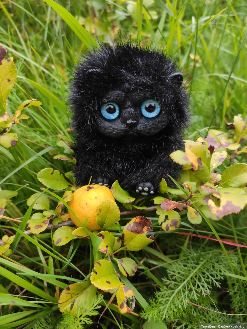 В поисках сказки | Бэйбики В поисках сказки — Домашние фото авторских игрушек: Тедди