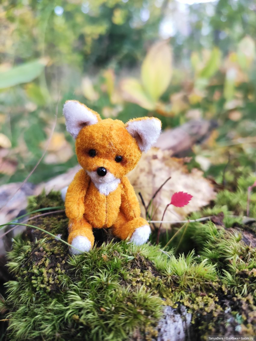 В поисках сказки | Бэйбики В поисках сказки — Домашние фото авторских игрушек: Тедди