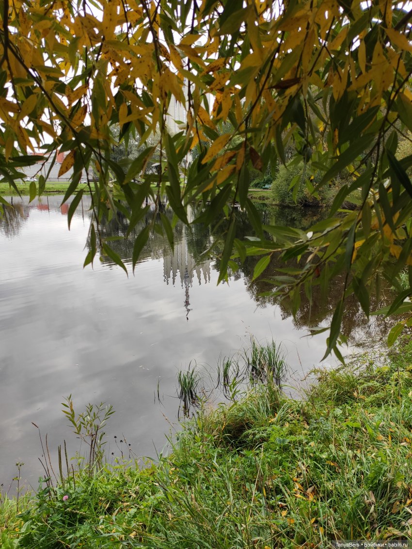 В поисках сказки | Бэйбики В поисках сказки — Домашние фото авторских игрушек: Тедди (фото 4)