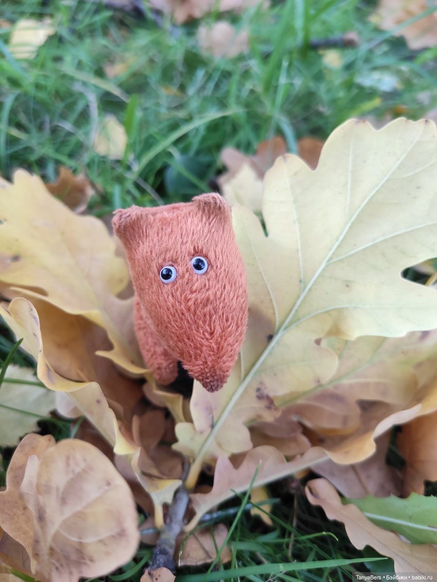 В поисках сказки | Бэйбики В поисках сказки — Домашние фото авторских игрушек: Тедди