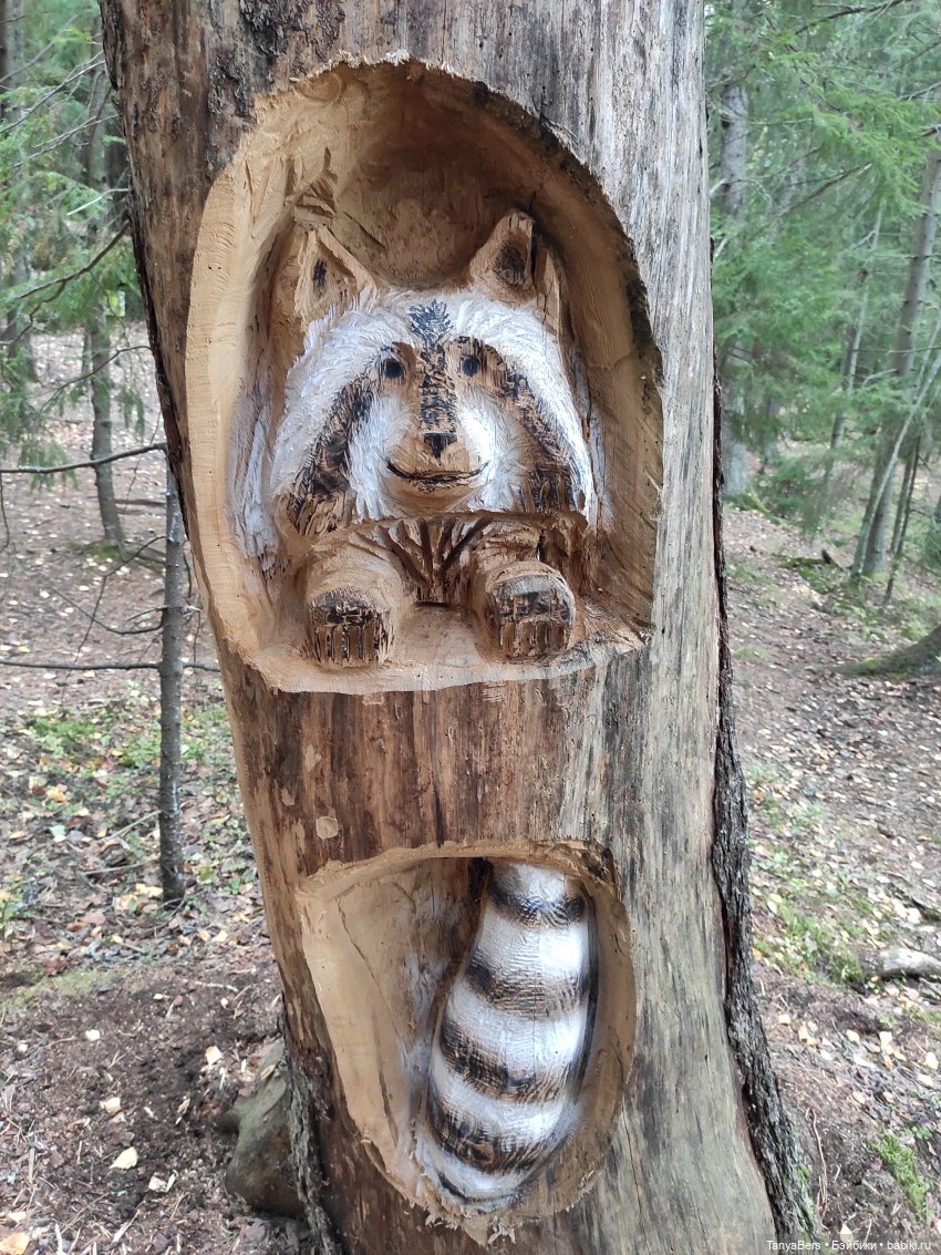 Ирискины бродилки — Игровые куклы Zwergnase (Цвергназе) Junior: Джуниор