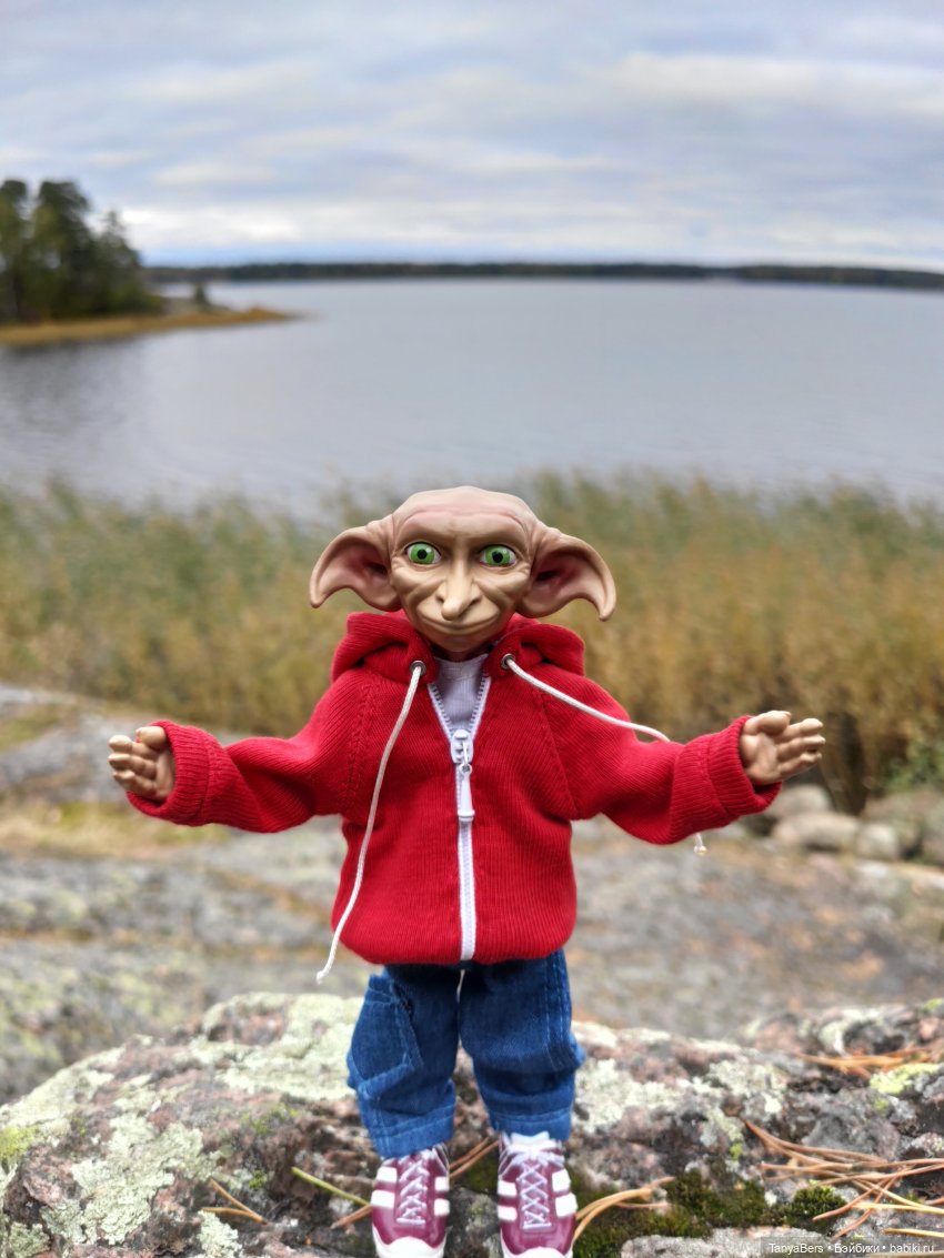 Ирискины бродилки — Игровые куклы Zwergnase (Цвергназе) Junior: Джуниор