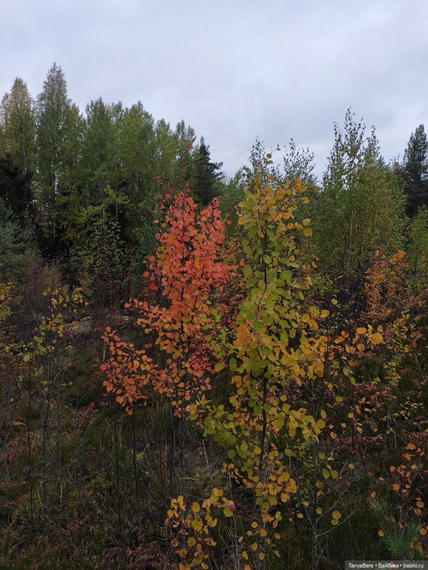 Ирискины бродилки — Игровые куклы Zwergnase (Цвергназе) Junior: Джуниор