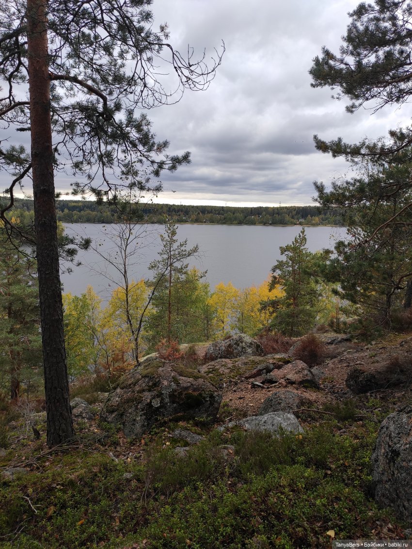 Ирискины бродилки — Игровые куклы Zwergnase (Цвергназе) Junior: Джуниор