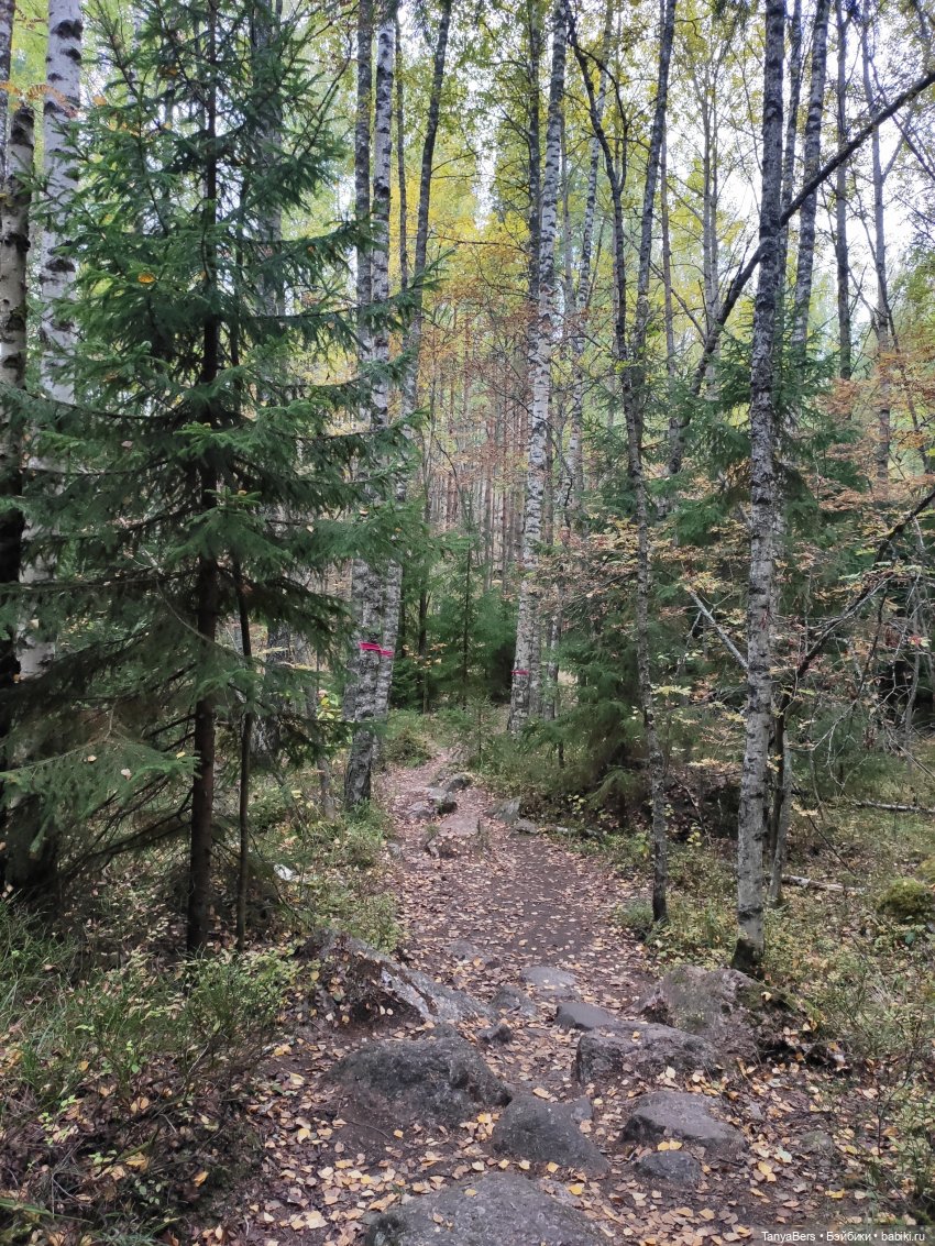 Ирискины бродилки — Игровые куклы Zwergnase (Цвергназе) Junior: Джуниор