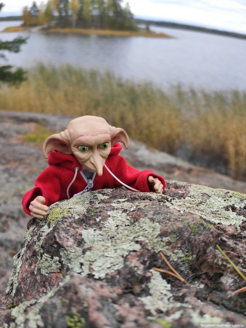 Ирискины бродилки — Игровые куклы Zwergnase (Цвергназе) Junior: Джуниор