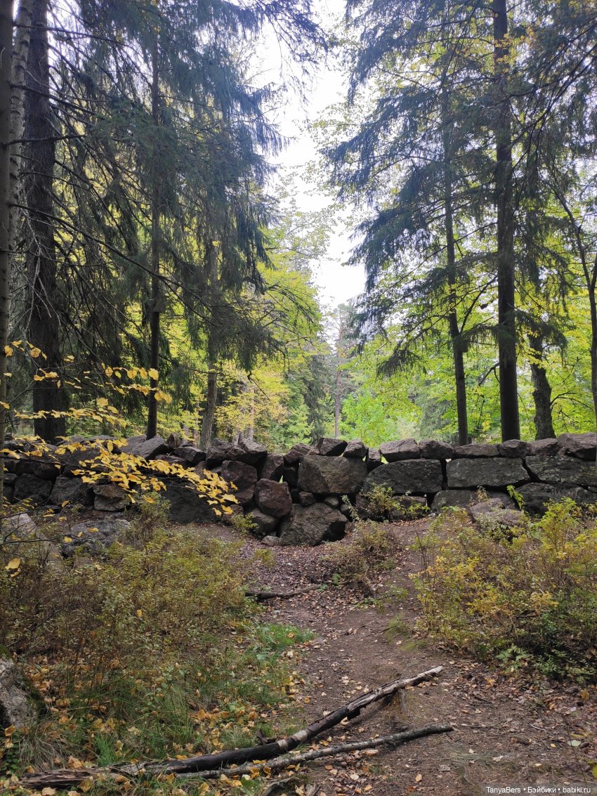 Ирискины бродилки — Игровые куклы Zwergnase (Цвергназе) Junior: Джуниор