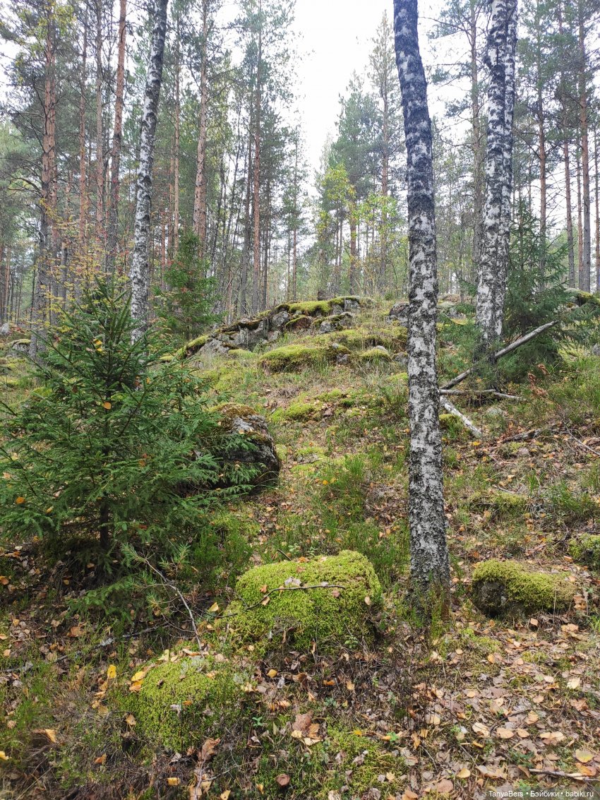 Ирискины бродилки — Игровые куклы Zwergnase (Цвергназе) Junior: Джуниор (фото 10)