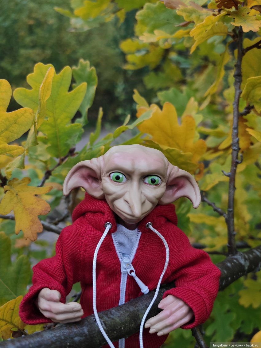 Ирискины бродилки — Игровые куклы Zwergnase (Цвергназе) Junior: Джуниор