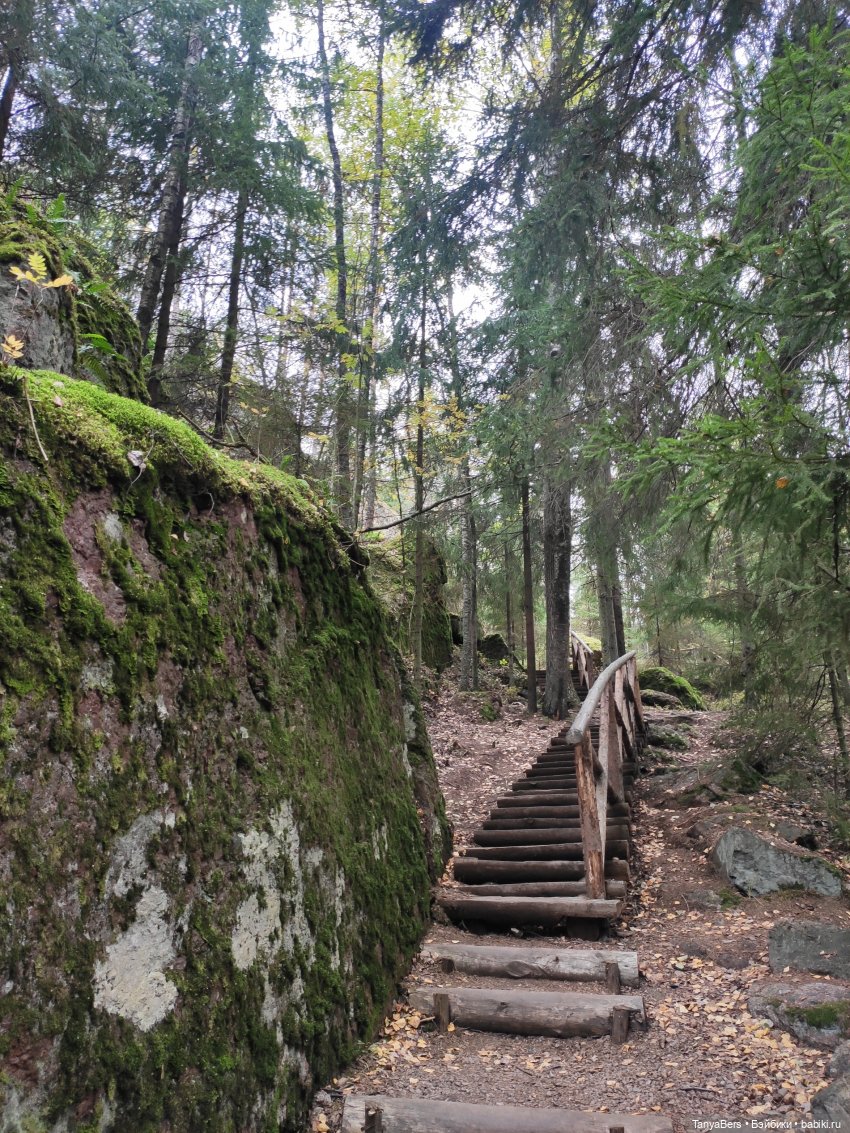 Ирискины бродилки — Игровые куклы Zwergnase (Цвергназе) Junior: Джуниор