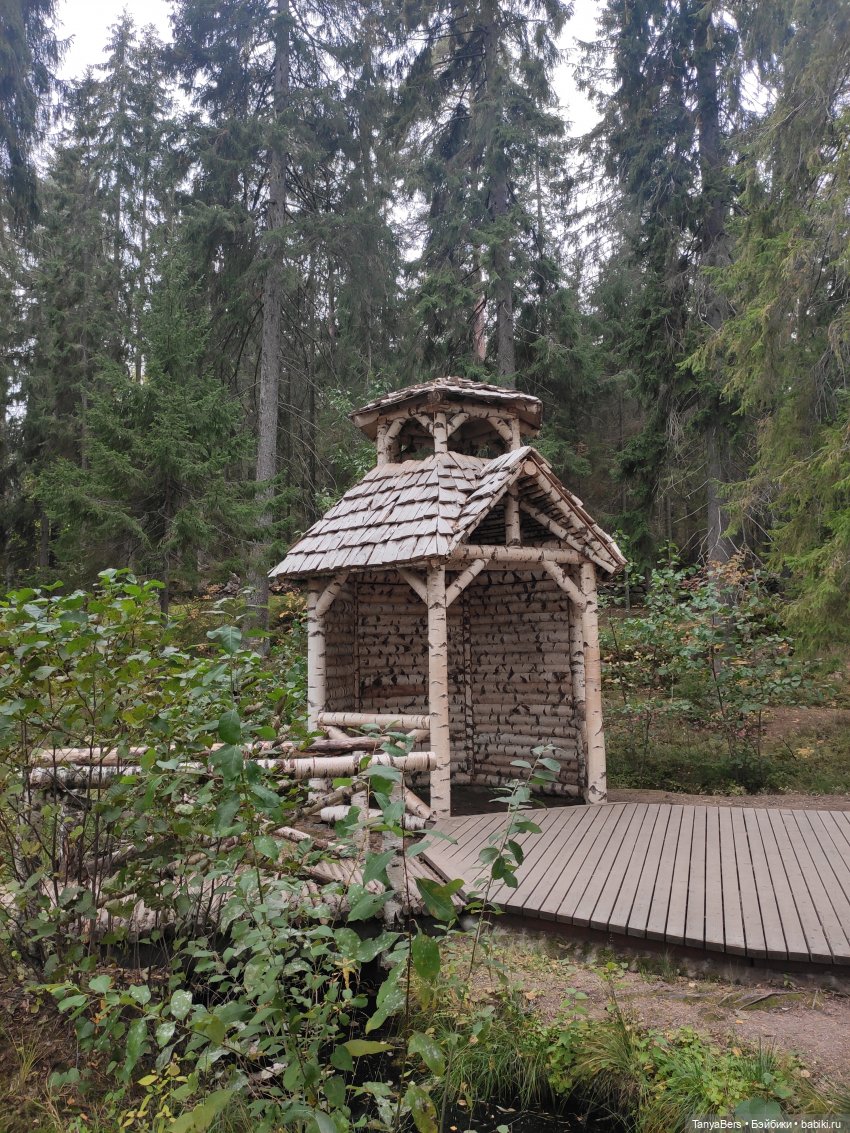 Ирискины бродилки — Игровые куклы Zwergnase (Цвергназе) Junior: Джуниор