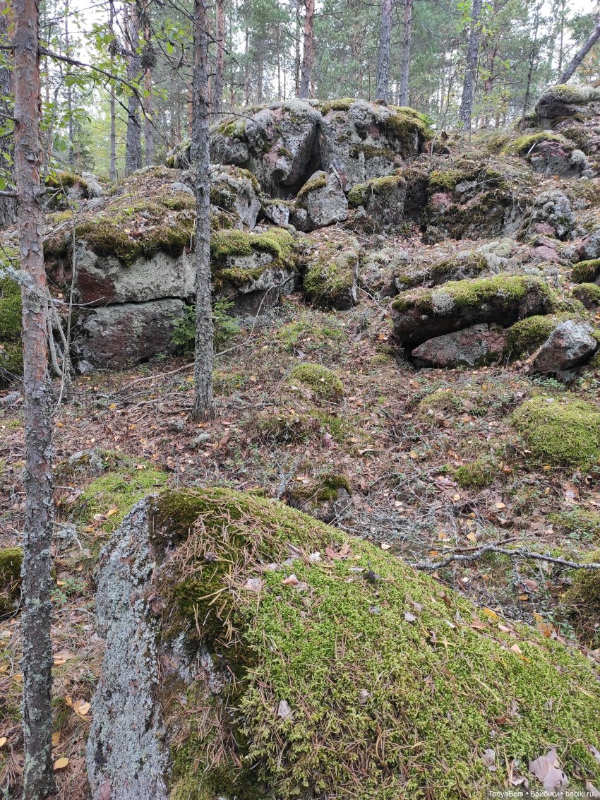 Ирискины бродилки — Игровые куклы Zwergnase (Цвергназе) Junior: Джуниор