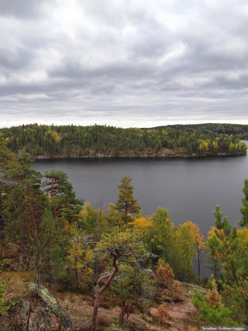 Ирискины бродилки — Игровые куклы Zwergnase (Цвергназе) Junior: Джуниор