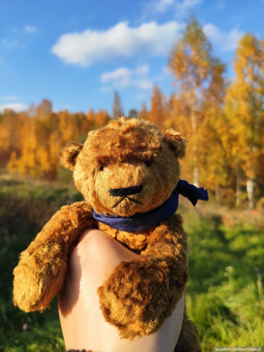 Ручной медведь — Домашние фото авторских игрушек: Тедди