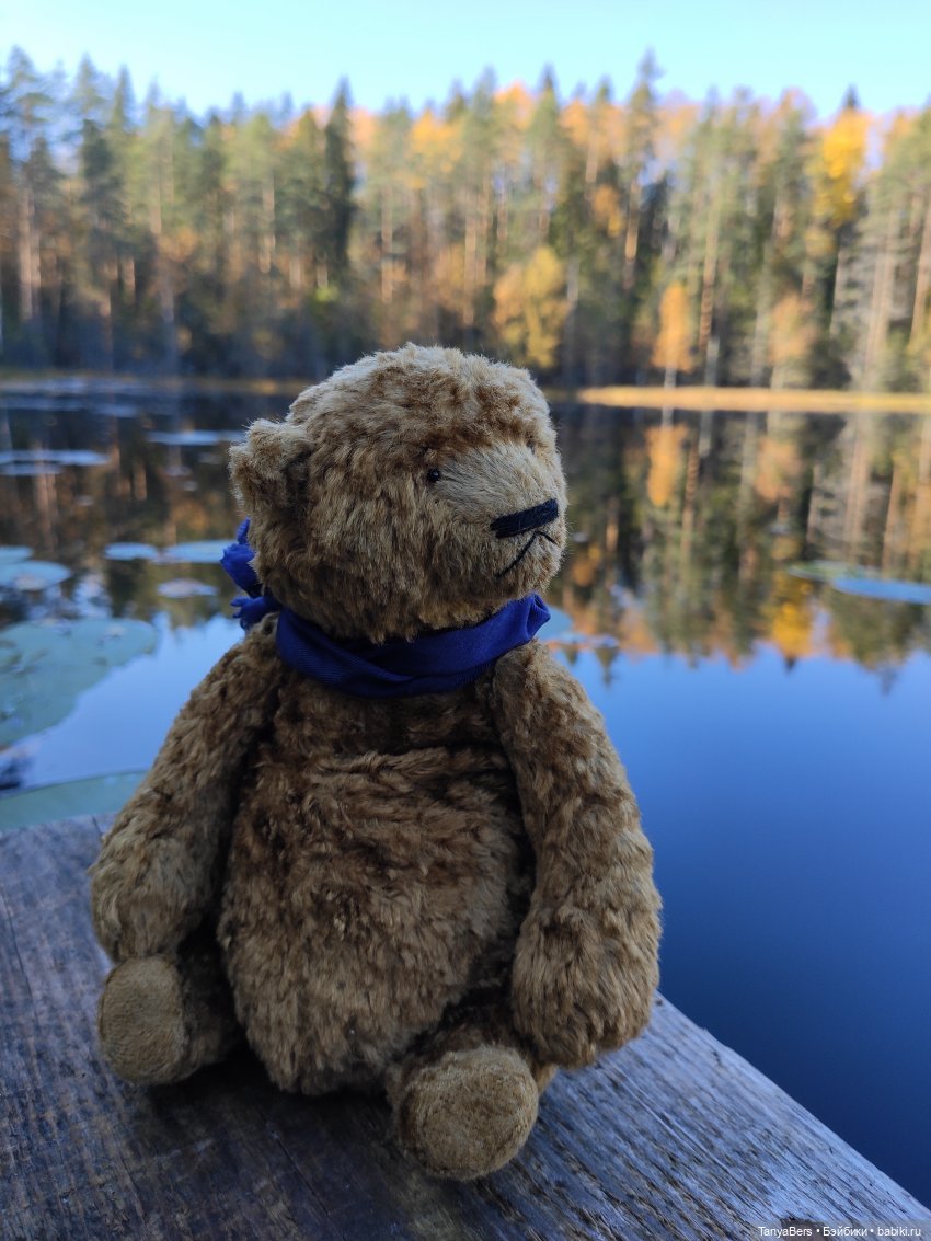 Ручной медведь — Домашние фото авторских игрушек: Тедди (фото 2)