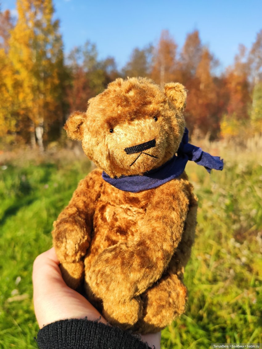 Ручной медведь — Домашние фото авторских игрушек: Тедди (фото 5)