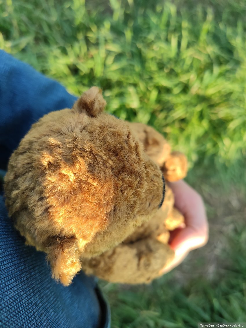 Ручной медведь — Домашние фото авторских игрушек: Тедди