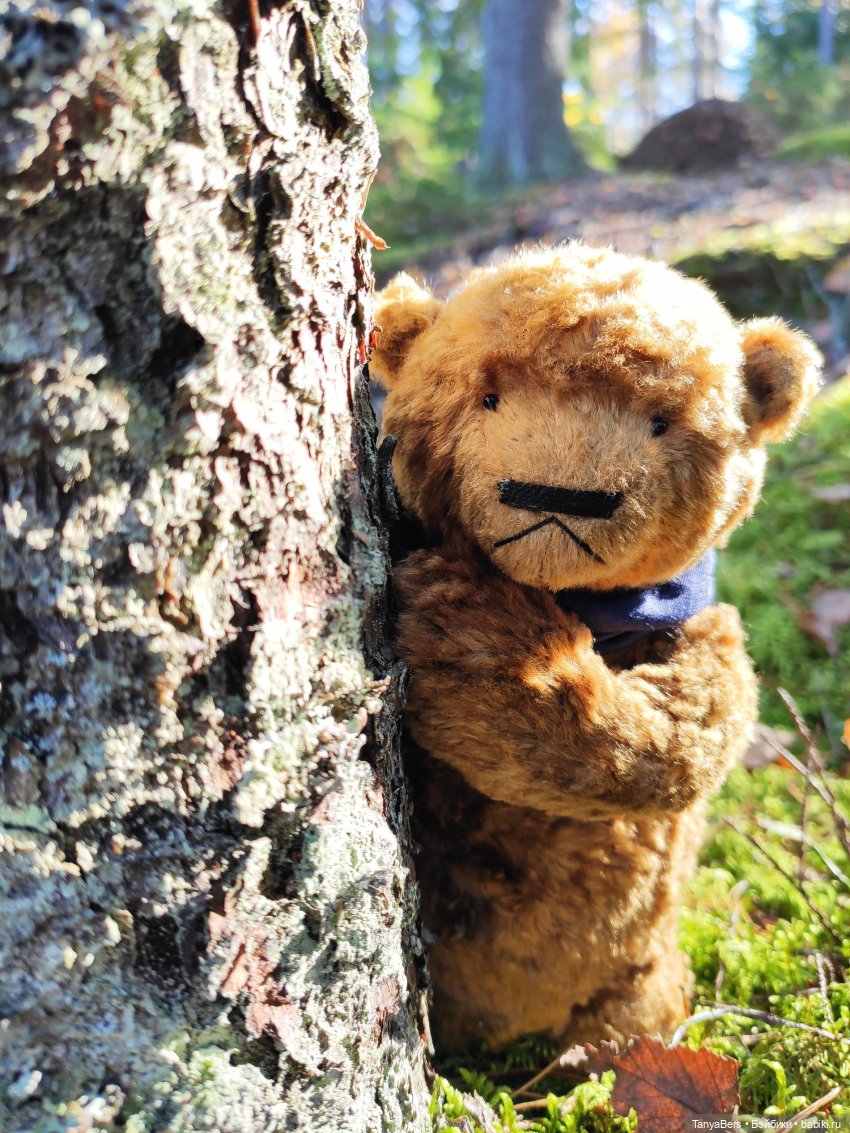 Ручной медведь — Домашние фото авторских игрушек: Тедди