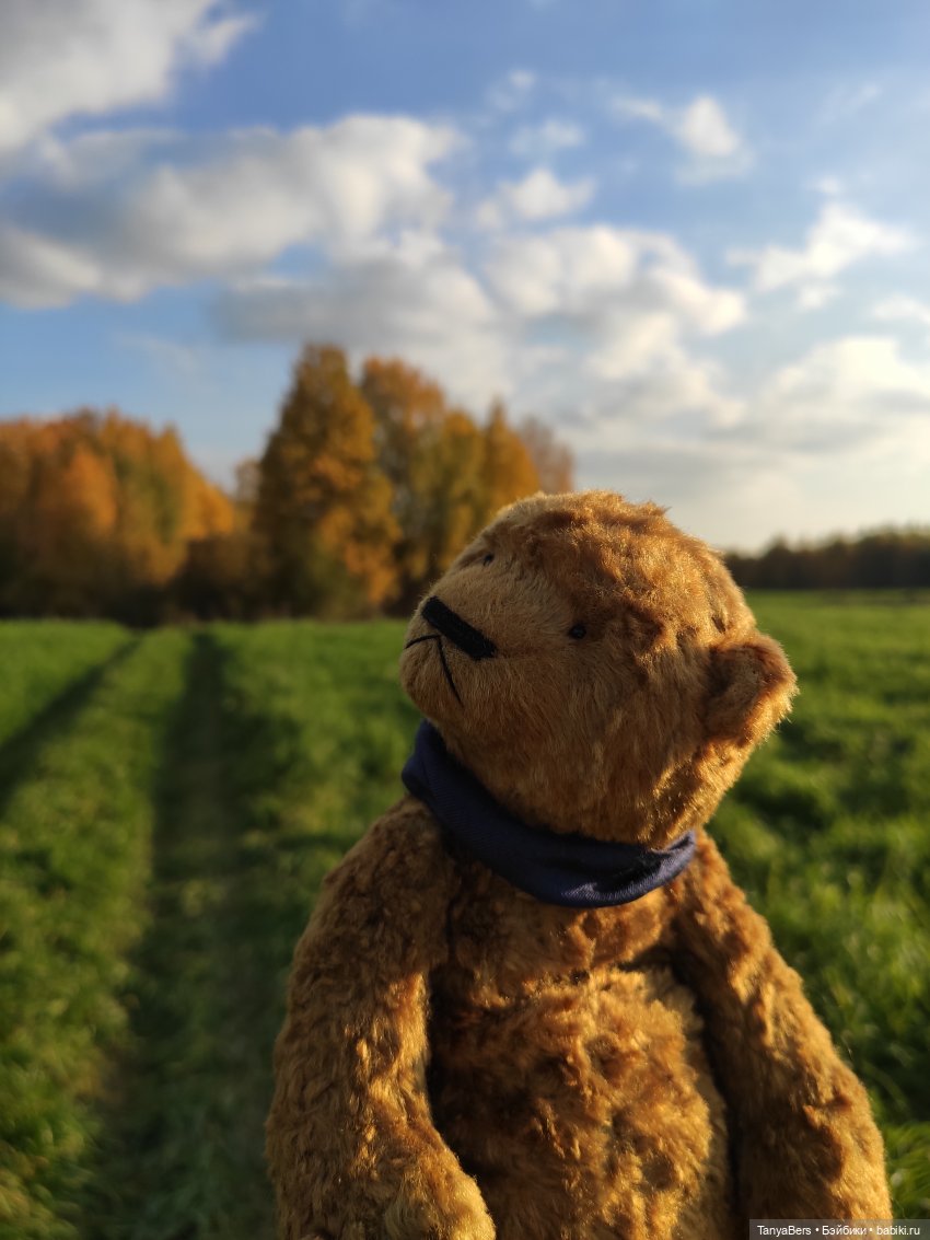 Ручной медведь — Домашние фото авторских игрушек: Тедди