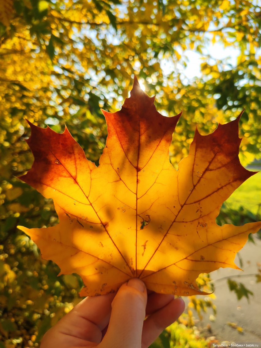 Ручной медведь — Домашние фото авторских игрушек: Тедди (фото 6)