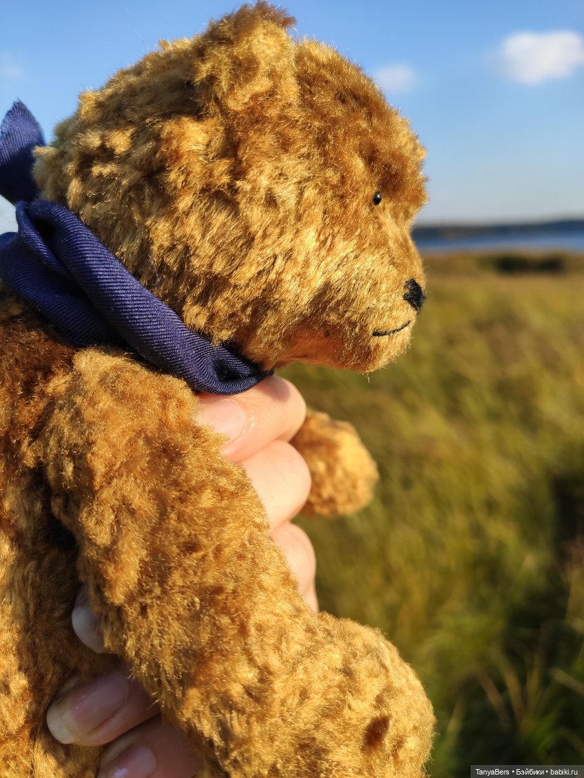Ручной медведь — Домашние фото авторских игрушек: Тедди