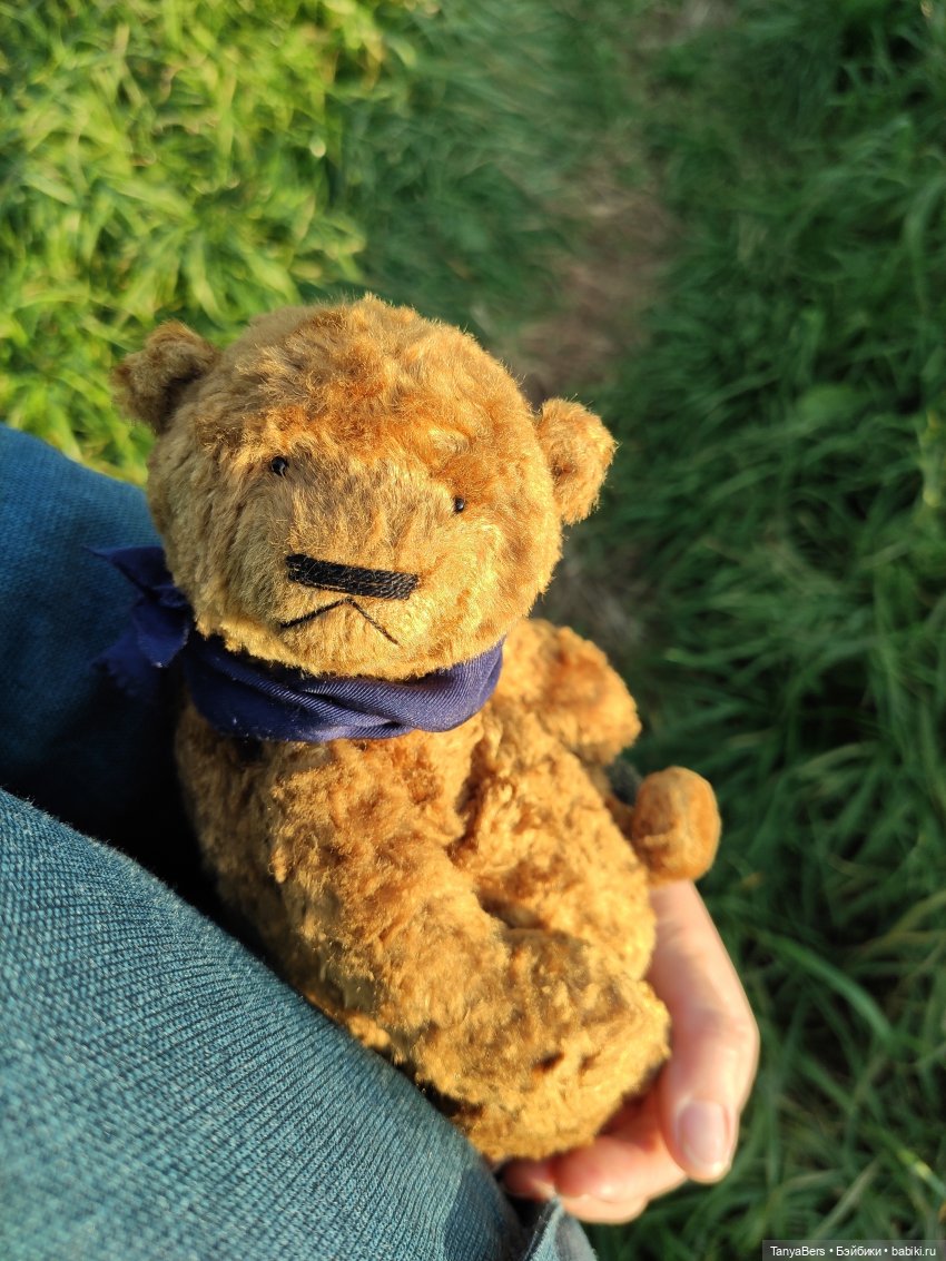 Ручной медведь — Домашние фото авторских игрушек: Тедди