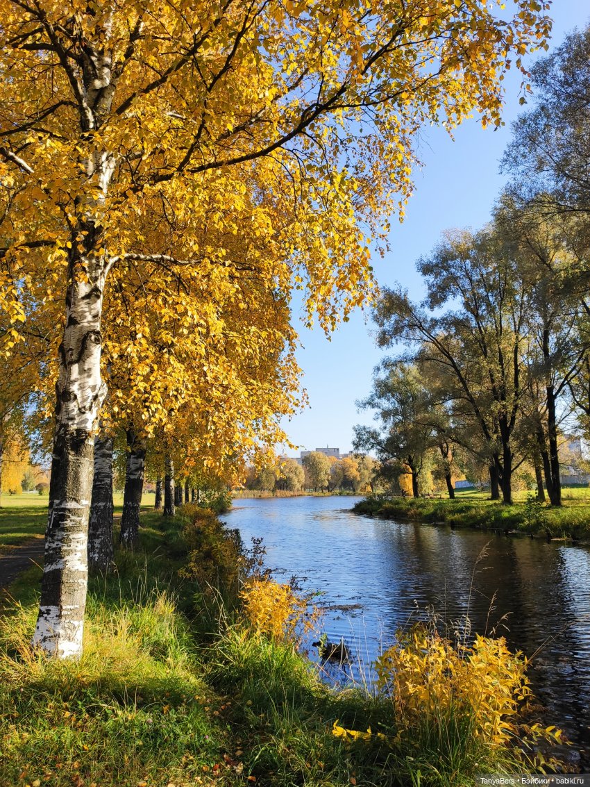 Ручной медведь — Домашние фото авторских игрушек: Тедди (фото 8)