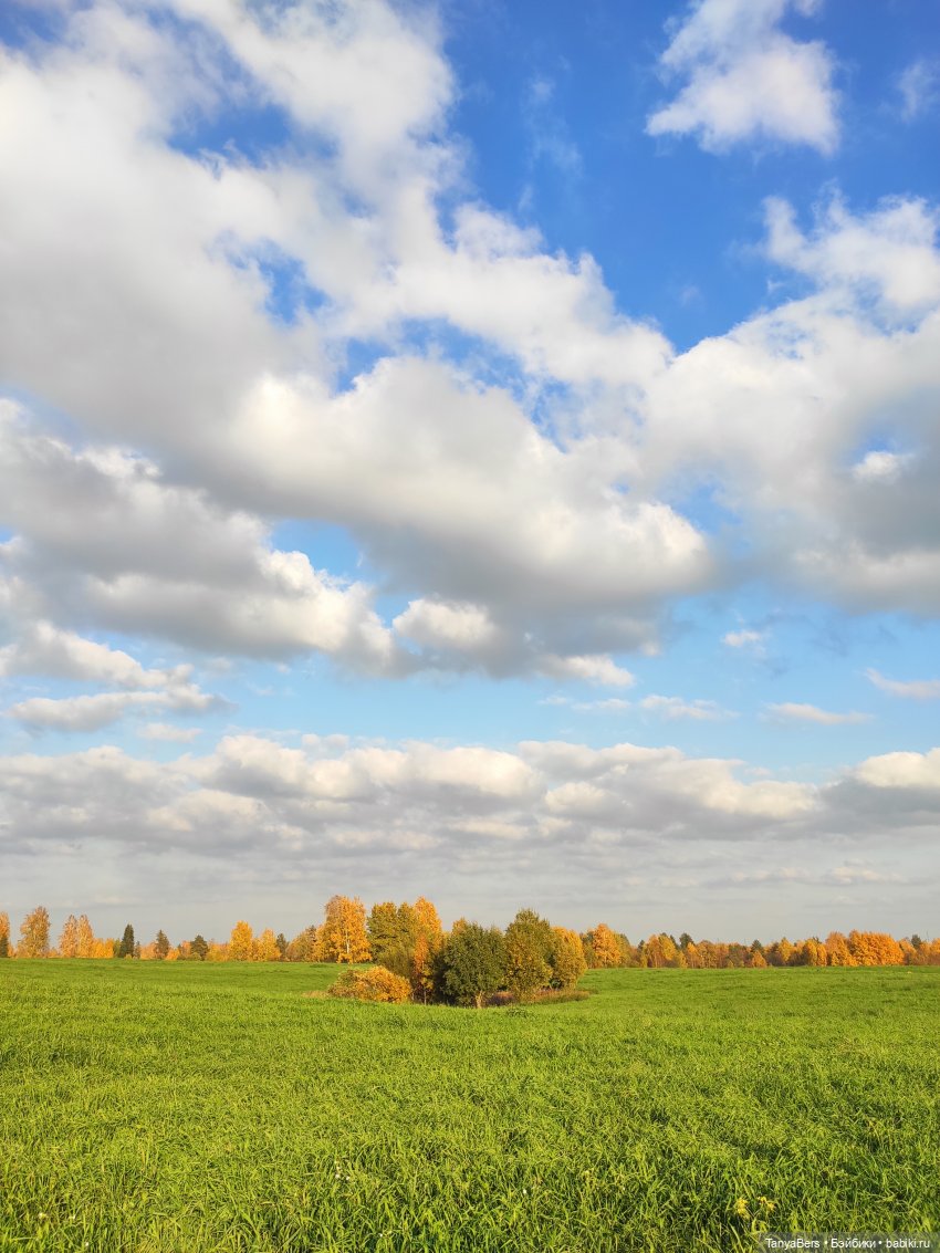 Ручной медведь — Домашние фото авторских игрушек: Тедди (фото 4)