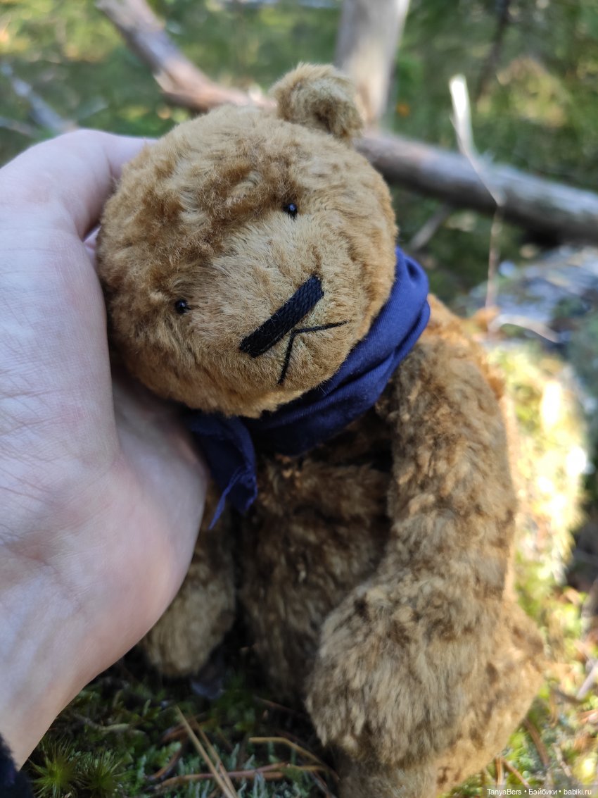 Ручной медведь — Домашние фото авторских игрушек: Тедди