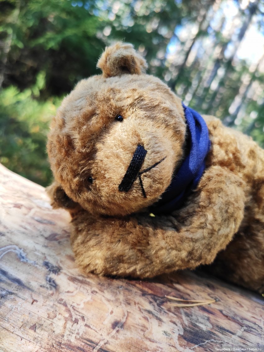 Ручной медведь — Домашние фото авторских игрушек: Тедди
