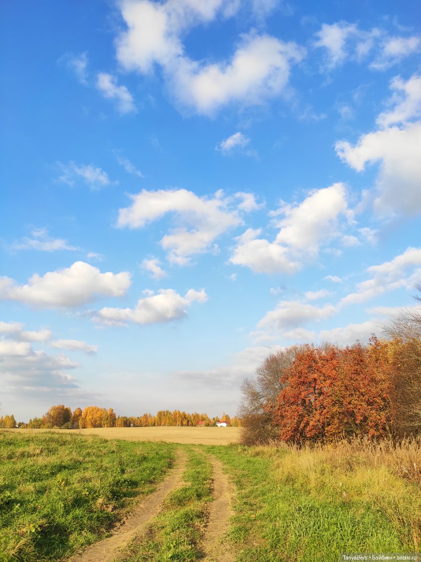 Ручной медведь — Домашние фото авторских игрушек: Тедди (фото 3)