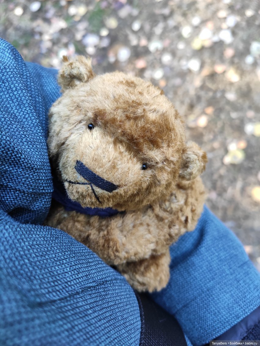 Ручной медведь — Домашние фото авторских игрушек: Тедди (фото 10)