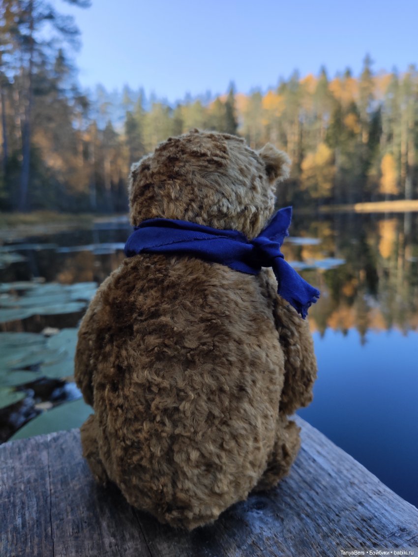 Ручной медведь — Домашние фото авторских игрушек: Тедди