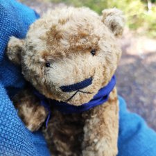 Ручной медведь