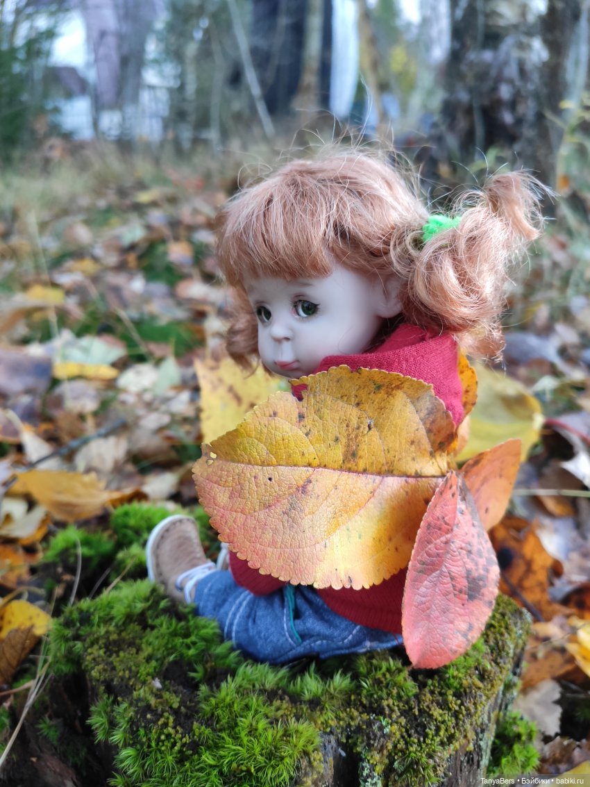 Осенняя хандра в куклах — Домашние коллекции кукол: фото собраний (фото 7)