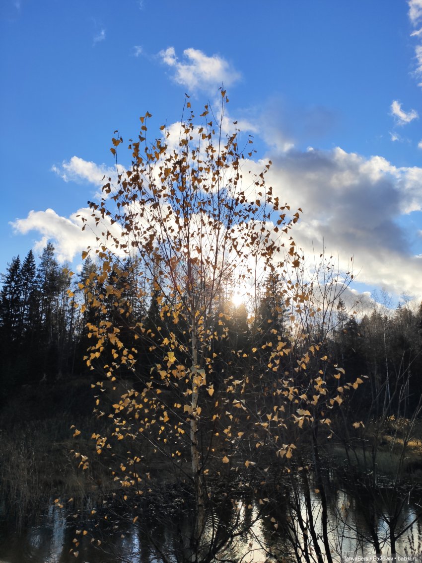 Осенняя хандра в куклах — Домашние коллекции кукол: фото собраний (фото 4)