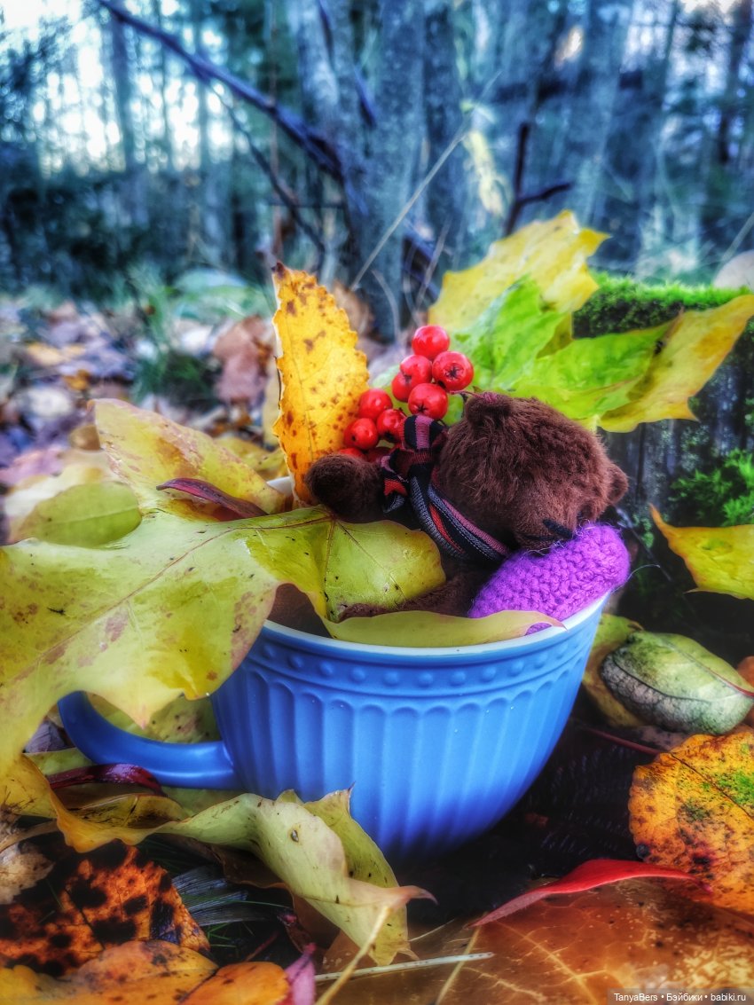 Осенняя хандра в куклах — Домашние коллекции кукол: фото собраний