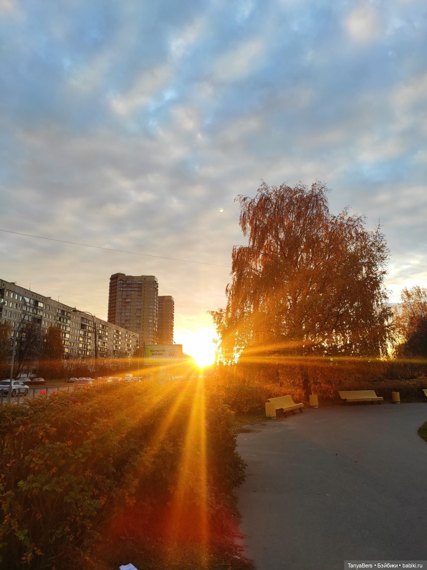 Осенняя хандра в куклах — Домашние коллекции кукол: фото собраний