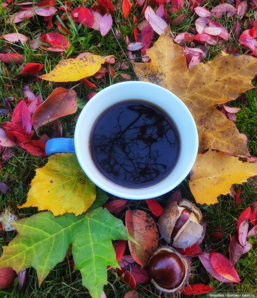 Осенняя хандра в куклах — Домашние коллекции кукол: фото собраний (фото 3)