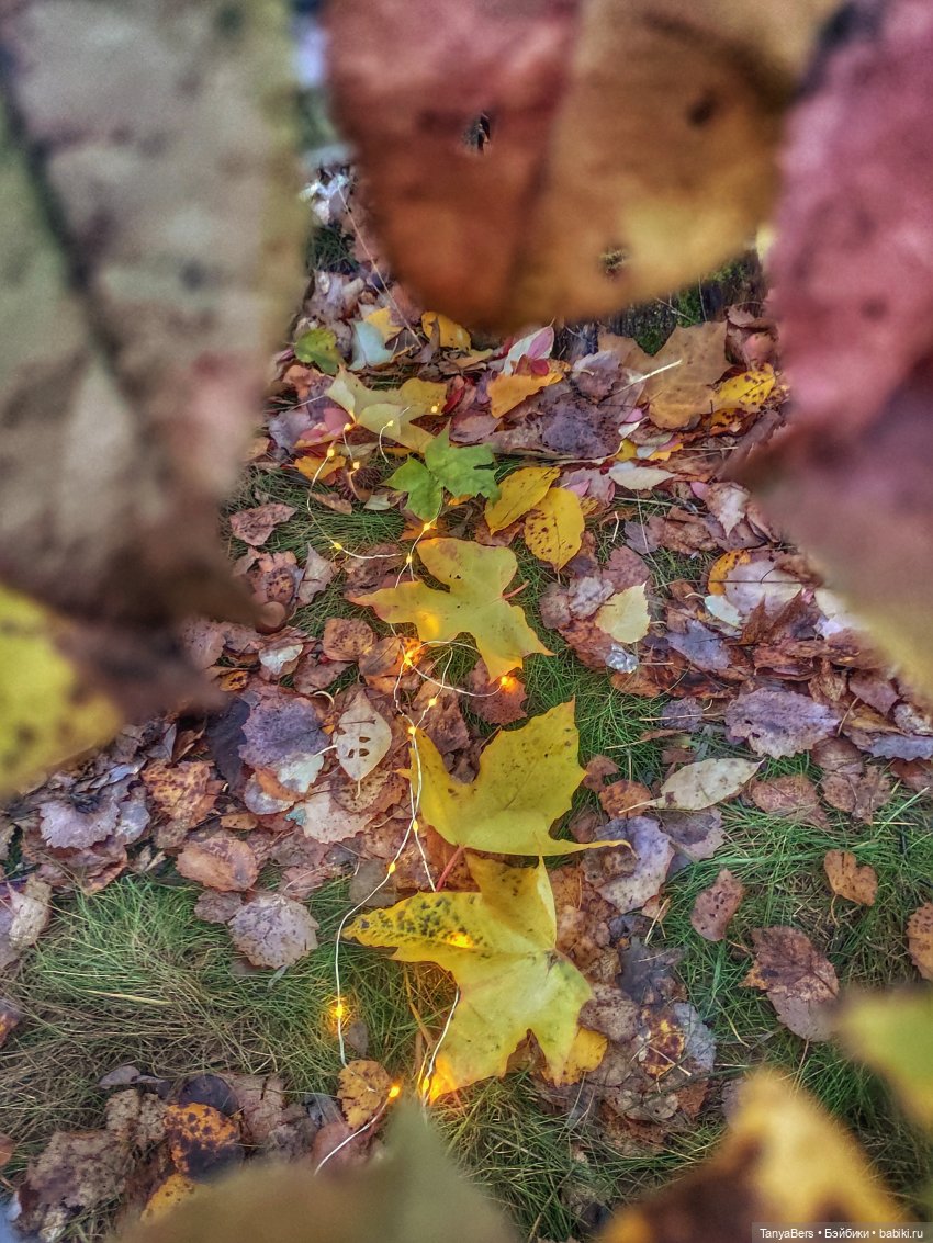 Осенняя хандра в куклах — Домашние коллекции кукол: фото собраний