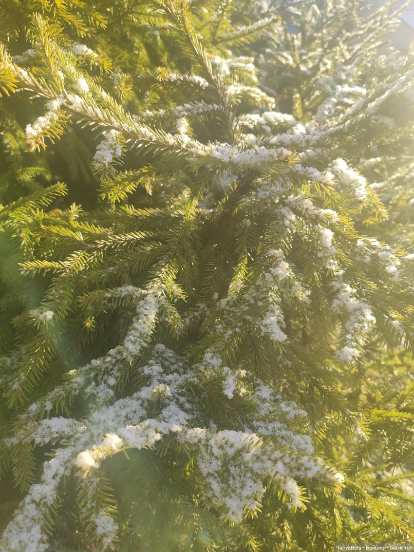 Осенняя хандра в куклах — Домашние коллекции кукол: фото собраний