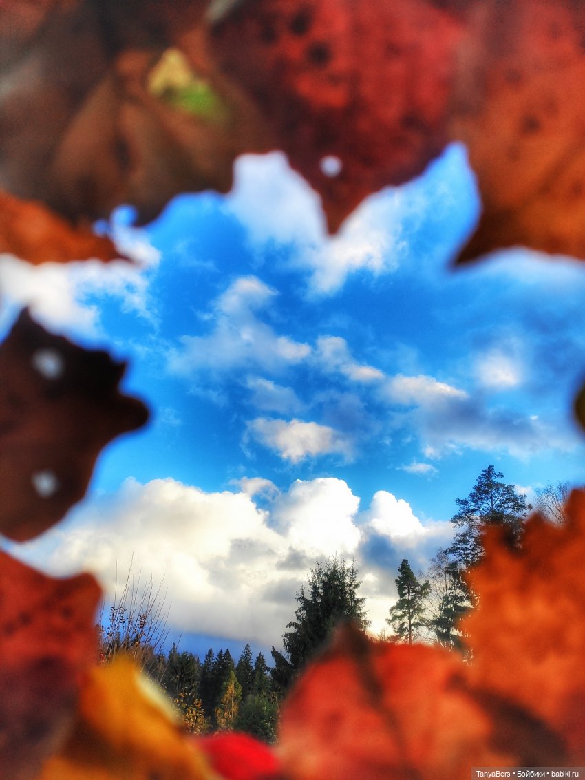 Осенняя хандра в куклах — Домашние коллекции кукол: фото собраний