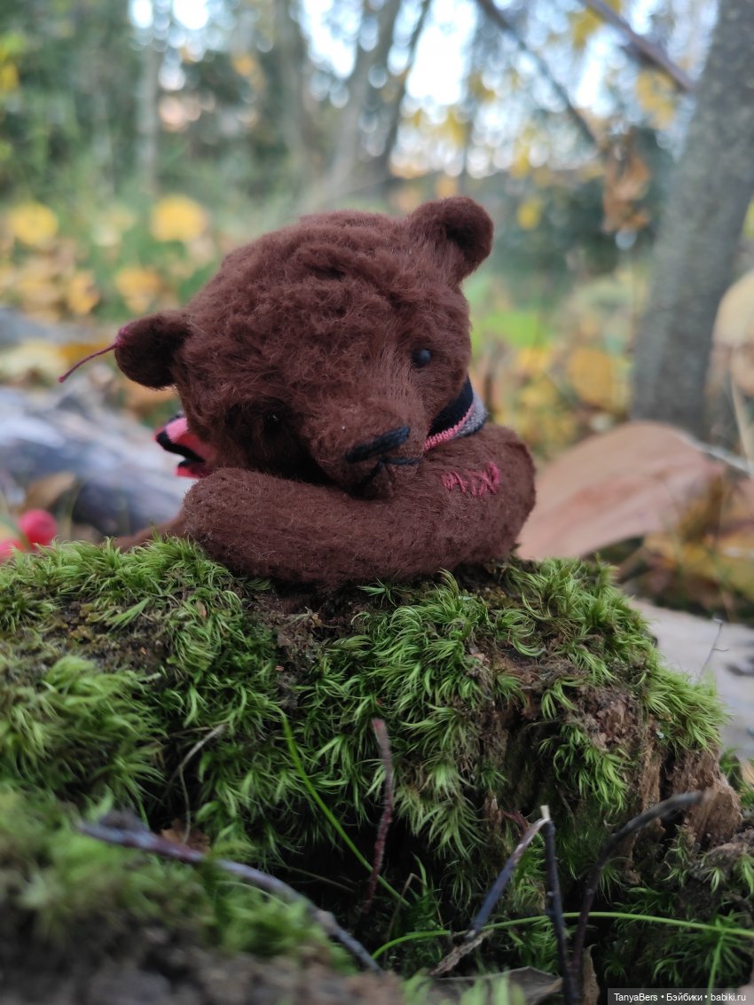 Осенняя хандра в куклах — Домашние коллекции кукол: фото собраний