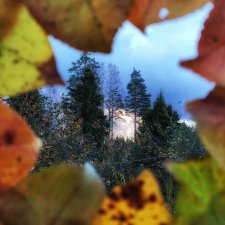 Осенняя хандра в куклах