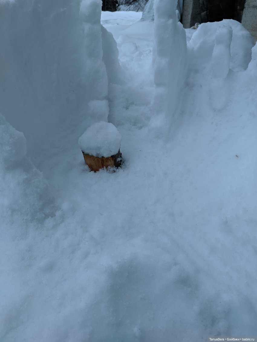 Сказка💫 про Сказку❄️✨ — Румбоксы и кукольная миниатюра: фото
