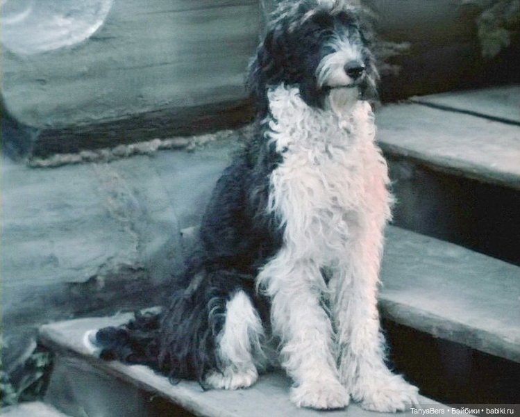 Сказка💫 про Сказку❄️✨ — Румбоксы и кукольная миниатюра: фото