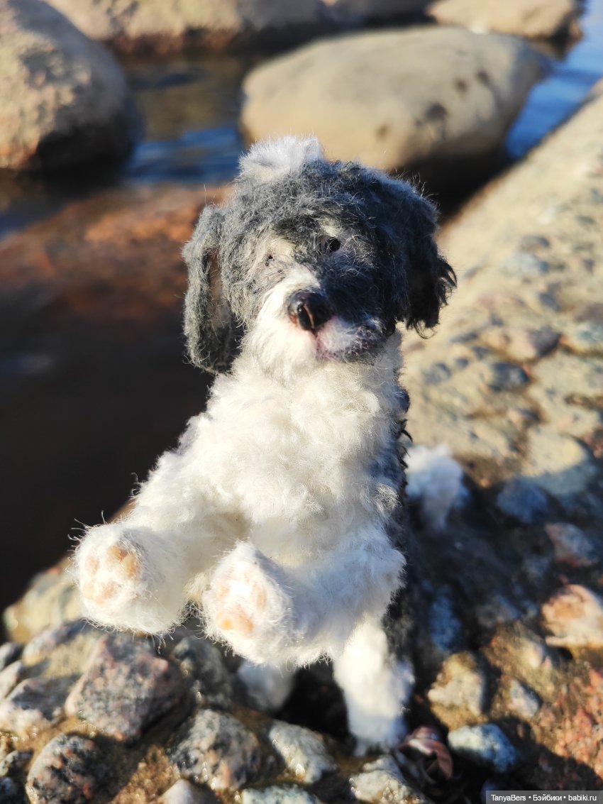 Сказка💫 про Сказку❄️✨ — Румбоксы и кукольная миниатюра: фото