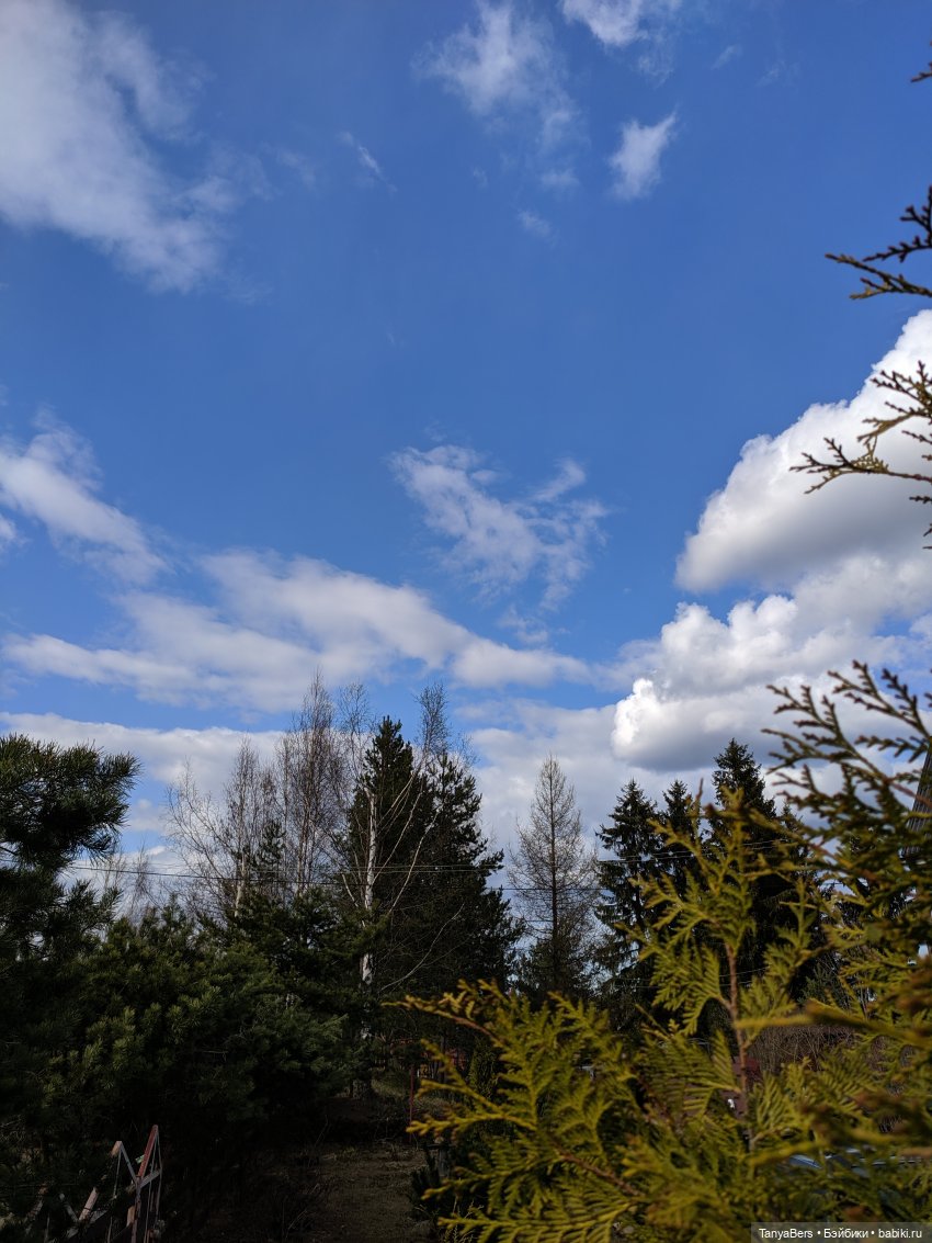 Там на неведомых дорожках✨ День Рождения Миры🎈 АНОНС детский Флешмоб🍭